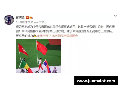 体育明星万绿湖：巅峰时刻与奋斗历程的全面回顾
