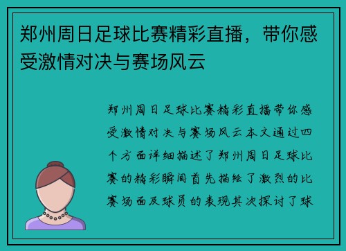 郑州周日足球比赛精彩直播，带你感受激情对决与赛场风云